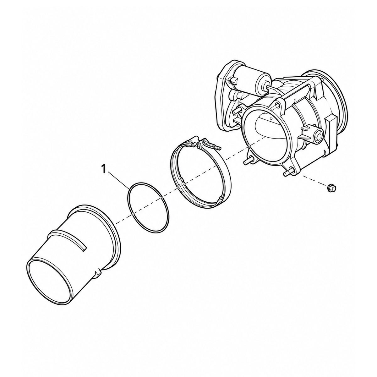 O Ring Seal