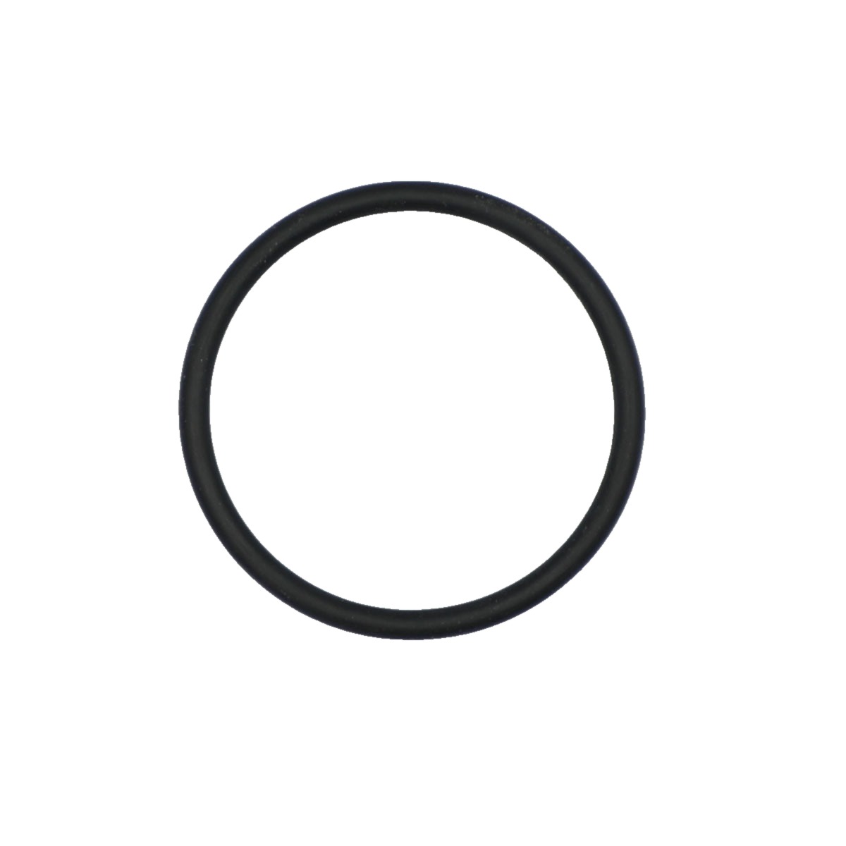 Cummins ISX O-Ring
