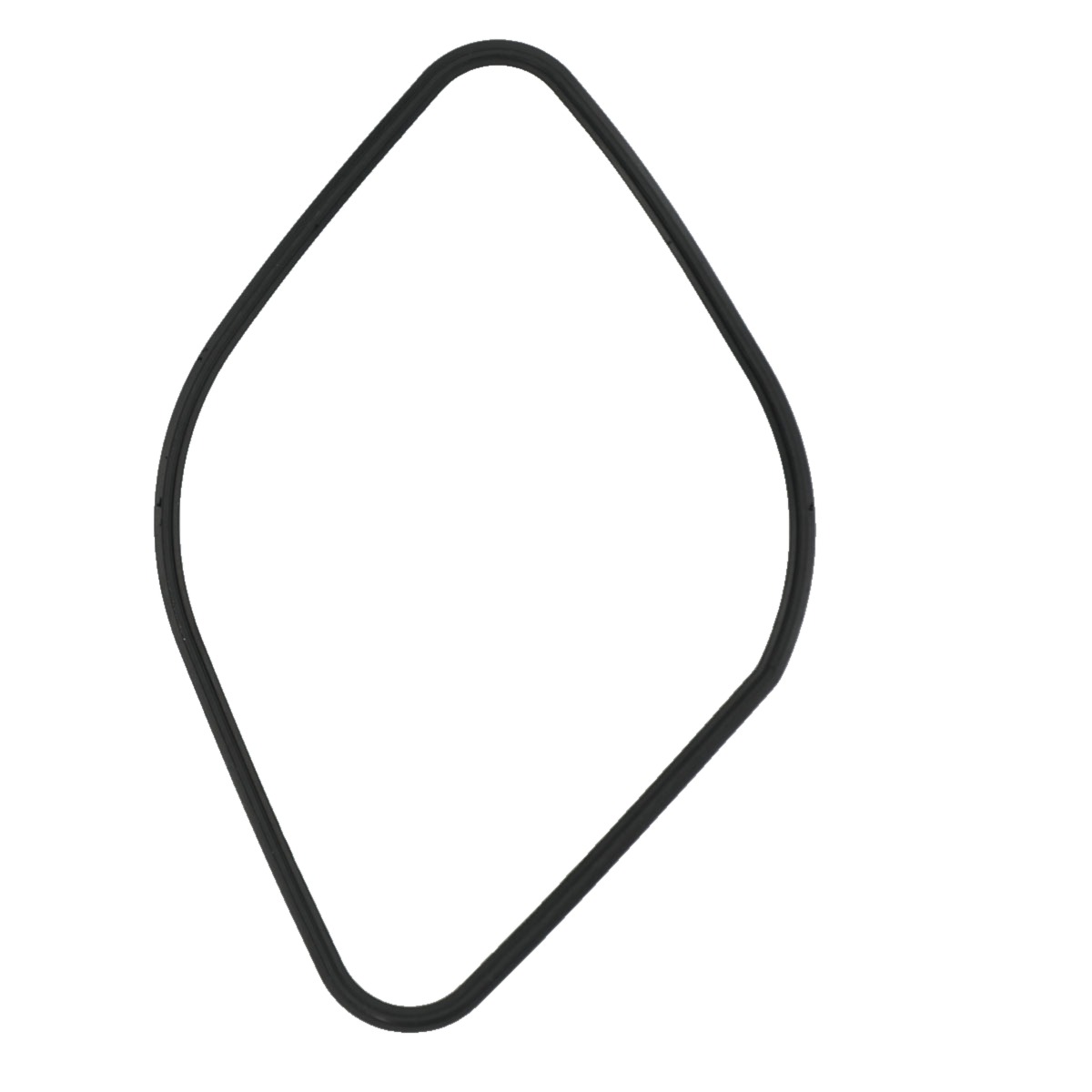 Cummins ISX O-Ring